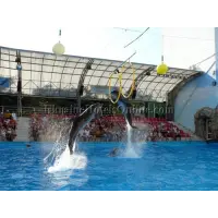 Отзыв о Дельфинарий "Немо" (Одесса)