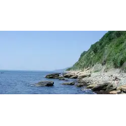 Отзыв о Поселок Криница (Россия, Краснодарский край)