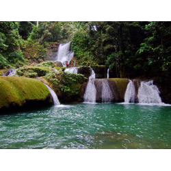 Отзыв о Водопады YS Falls (Ямайка, Негрил)