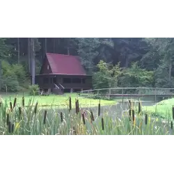 Отзыв о Парк-отель "Воробьи" (Россия, Обнинск)