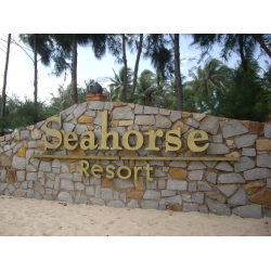 Отзыв о Отель Seahorse Resort 4* (Вьетнам, Фантьет)