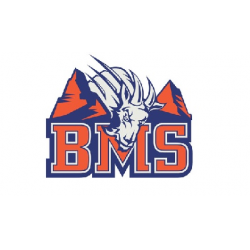 Отзыв о Сериал "BMS" (2010-2011)