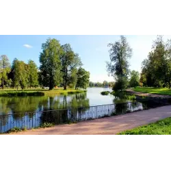 Отзыв о Колонистский пруд (Россия, Санкт-Петербург)