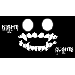  Night Blights   -  11