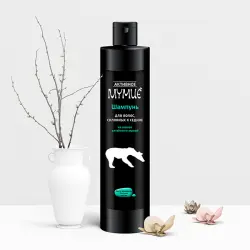 Отзыв о Шампунь Скимед Активное мумие "Для волос, склонных к седине"