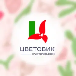 Отзыв о Магазин "Цветовик" (Россия, Санкт-Петербург)