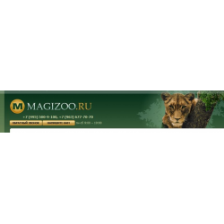 Magizoo Интернет Магазин Для Животных Москва