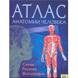 Отзыв о Книга "Атлас анатомии человека" - издательство "Клуб Семейного Досуга"