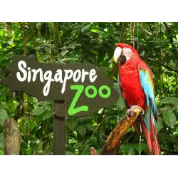 Отзыв о Сингапурский зоопарк (Сингапур)