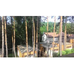 Отзыв о Загородный клуб "Донской лес" (Россия, Липецкая область)