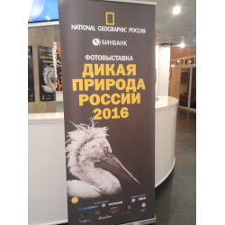 Отзыв о Выставка журнала National Geographic "Дикая природа России" (Россия, Москва)