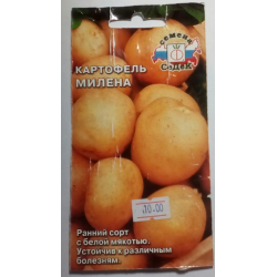Каков урожай картофеля, выращенного из семян, с учетом сорта Картофель Милена описание сорта и характеристика, фото