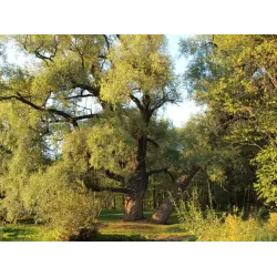 Отзыв о Санаторий Варзи-Ятчи (Россия, Удмуртская республика)