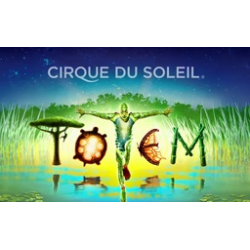 Отзыв о Цирковое шоу "Totem" Cirque Du Soleil (Россия, Сочи)