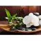 Фото SPA процедуры в домашних условиях