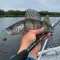 Фото Спиннинг Norstream Favorite Jig 862MMH