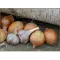 Фото Народное средство от насморка из масла, лука и чеснока