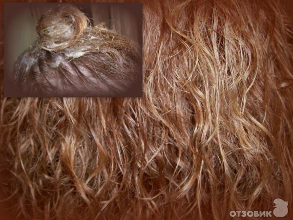 Как убрать пушистость с волос после химической завивки