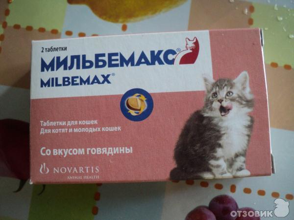 Можно ли кошке обезболивающее. Котенок с таблетками. Таблетки от глистов для котов. Таблетки от глистов для котят 1 месяц. Обезболивающая таблетка для котов.