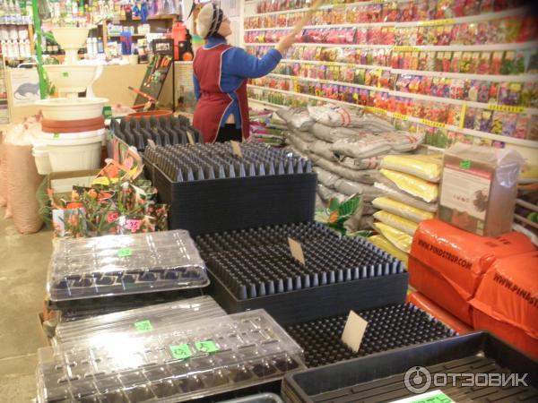 Крым магазины семян морковка абака семена