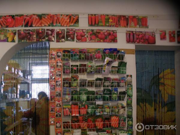 Крым магазины семян посадка семенами розы