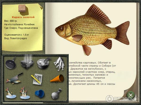 Сайт рыбалка золотой