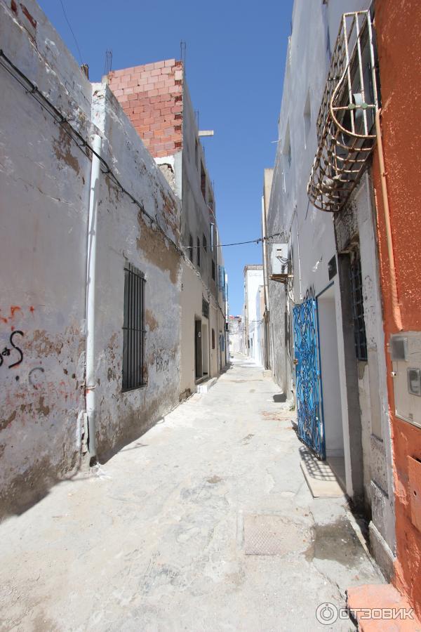 Экскурсия по г. Хаммамет (Тунис) фото