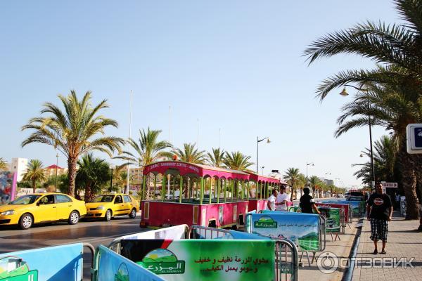 Экскурсия по г. Хаммамет (Тунис) фото