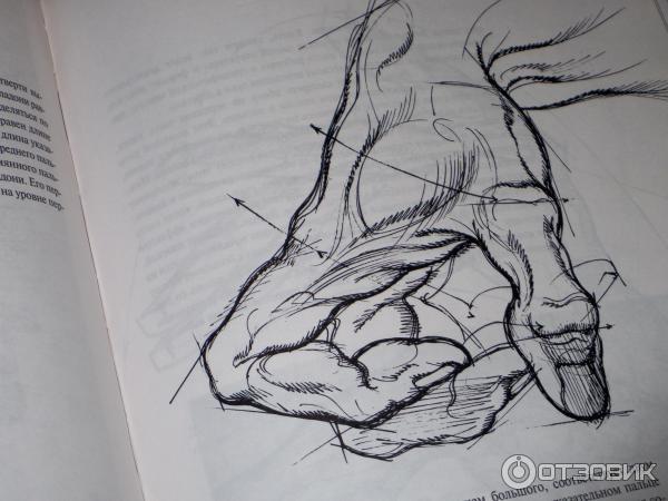 Книги рыжкина. Берн Хогарт пластическая анатомия. Рыжкин анатомия для художников книга. Пластическая анатомия Барчаи.