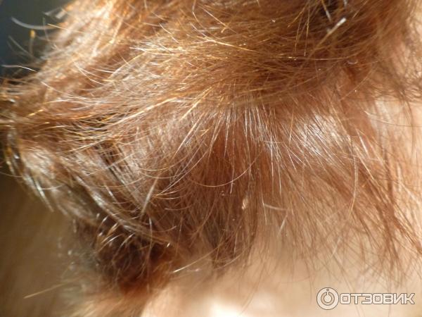 Масло для волос L'Oreal Elseve Экстраординарное 6 масел редких цветов фото
