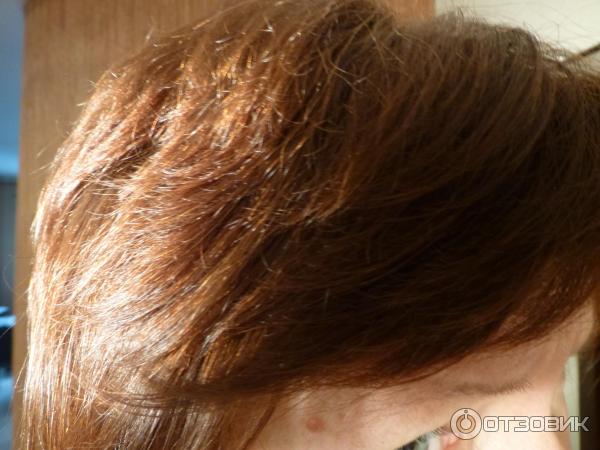 Масло для волос L'Oreal Elseve Экстраординарное 6 масел редких цветов фото