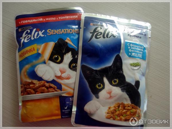 Купить пакетик корма для кошки. Felix корм упаковка. АОРМ для конек в пакетиках. Пакетик корма для котят.