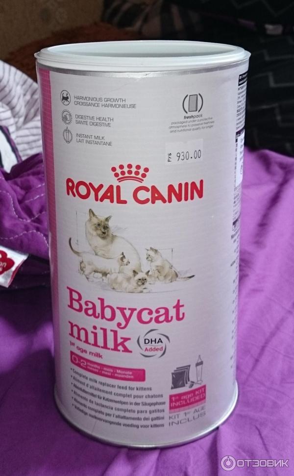 Отзыв о Заменитель кошачьего молока Royal Canin Babycat Milk | Эта смесь  помогла нам всем