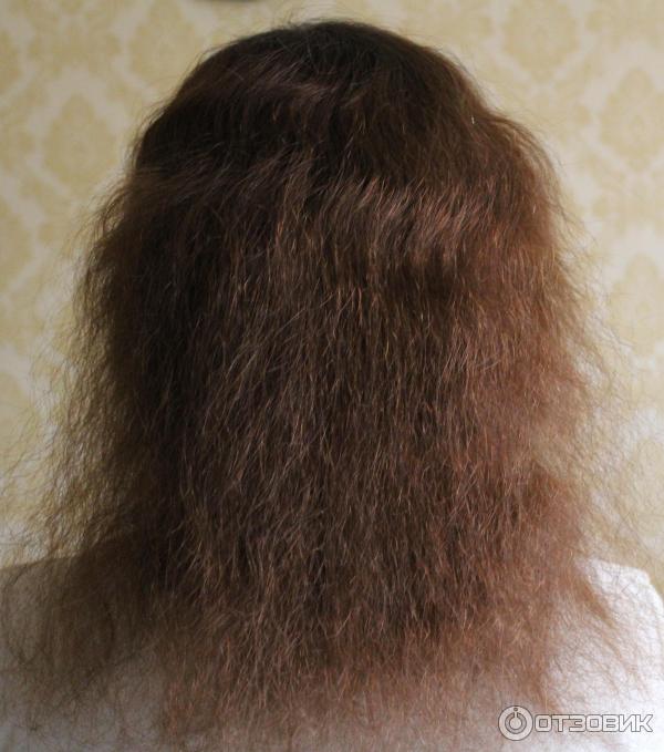 Почему выпадают волосы при мытье головы. Много волос. Норма выпадения волос. Волосы после мытья. Норма выпадения волос у женщин.