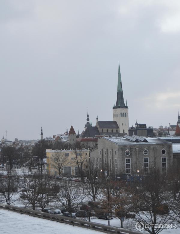 Отдых в Таллине (Эстония, Таллин) фото