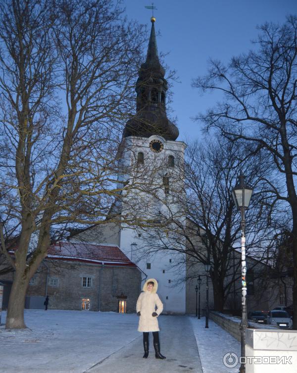 Отдых в Таллине (Эстония, Таллин) фото