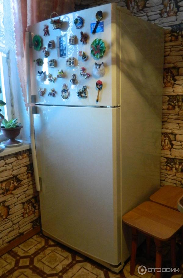 Фото Холодильников Самсунг Двухкамерный