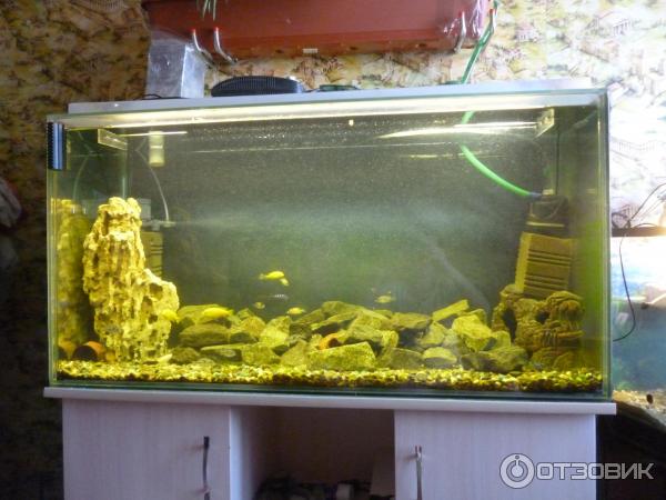Камень в аквариум Грот А-Л песчаник пещерный желтый большой фото