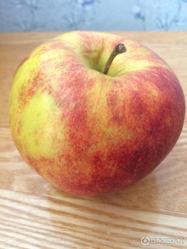 Хорошее яблоко отзывы. Яблоки краснодарские. Желтое Краснодарское яблоко. Самый сладкий сорт яблок для Краснодарского края. Долина яблок Краснодар.