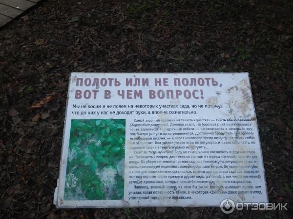 Ботанический Сад Магазин Саженцев Минск