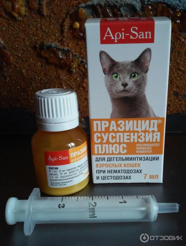 Глистогонить кошку через. Лекарство для кошек. Кот с лекарствами. Препараты для котов при отравлении. Средство для глистогонки кошек.