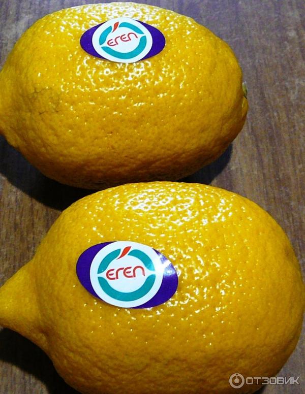 Лимоны Eren фото.