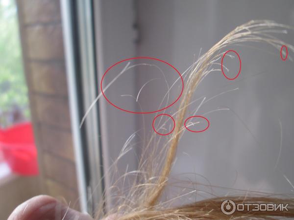 Сильно ломаются волосы. Причины сечения волос. Волосы расслаиваются. Волосы обламываются по всей длине. Расслаиваются волосы на кончиках.