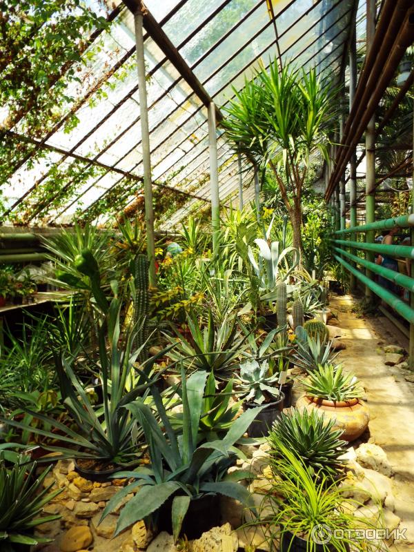 Ботанический сад ЮФУ — Википедия