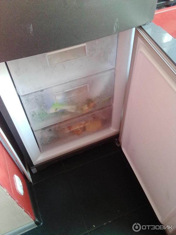 Холодильник Hotpoint-Ariston HBD 1201.4 NF H фото