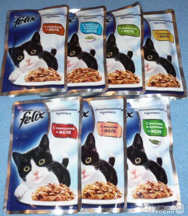Купить пакетик корма для кошки