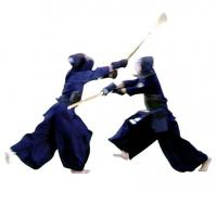 Отзыв о Кендо - японское спортивное фехтование на мечах