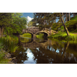 Отзыв о Прогулка на лодках по озеру Стоу в Golden Gate Park (США, Сан-Франциско)