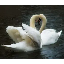 Отзыв о Книга "Пикап. Самоучитель по соблазнению" - Филипп Богачев