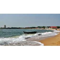 Jinsiy aloqa: u nima uchun yaratilgan? Spermatozoidlar bilan yalagan mushuk